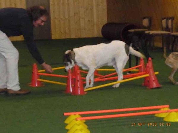 med_Cavaletti-Labyrinth Barnie.jpg (600 x 450)